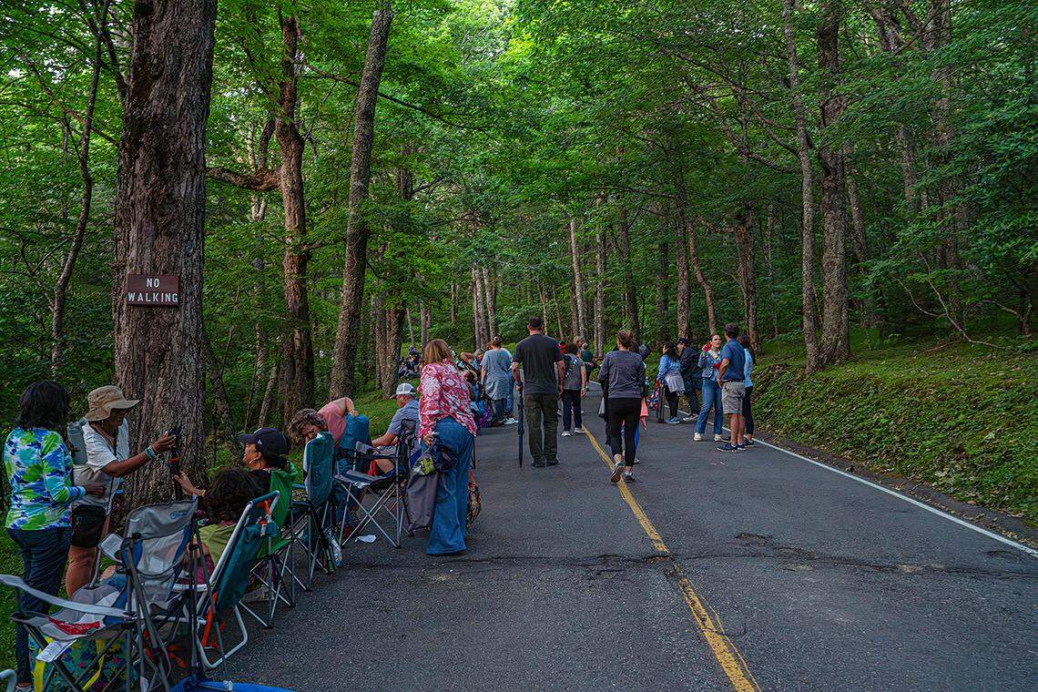 Glowing fireflies are about to emerge on Grandfather Mountain to mate, and watching them has become so popular you have to enter a lottery for tickets
