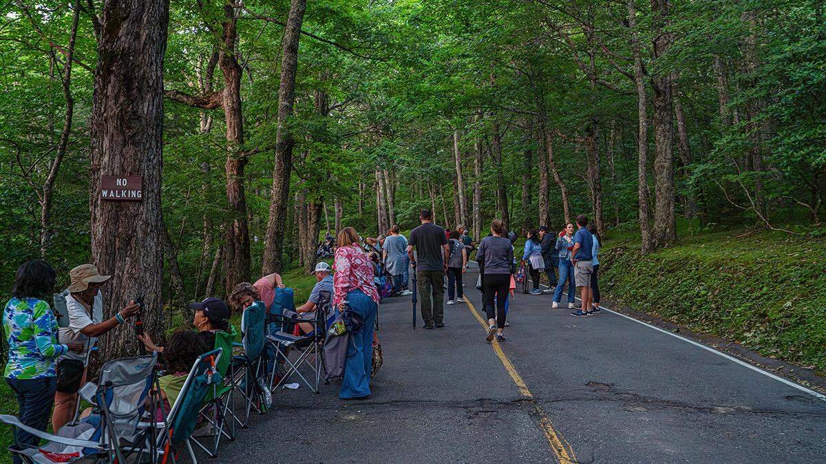 Glowing fireflies are about to emerge on Grandfather Mountain to mate, and watching them has become so popular you have to enter a lottery for tickets. 