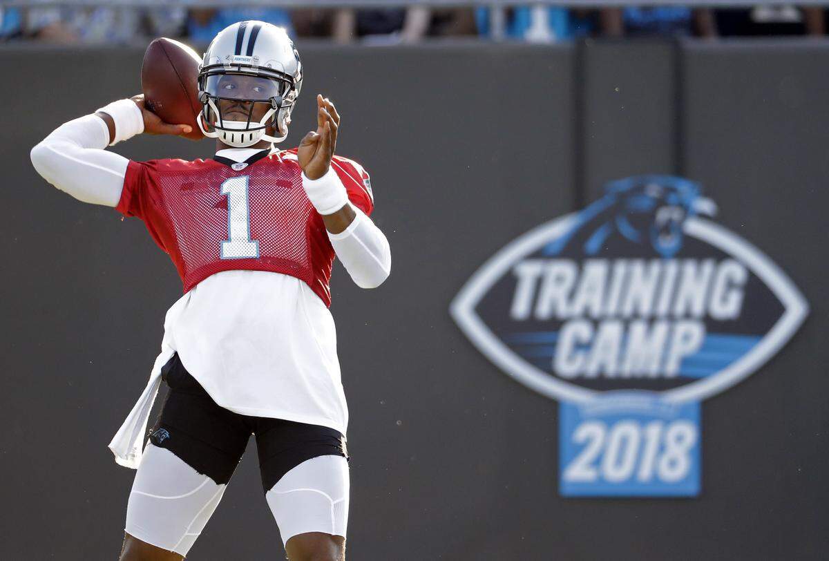 Carolina Panthers quarterback Cam Newton and new offensive coordinator Norv Turner are so far seeing a lot of success in their new relationship.