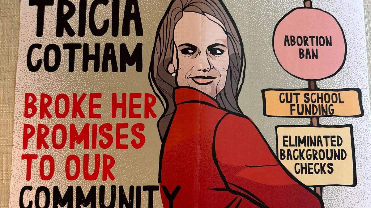 A mailer circulating in North Carolina House District 105, where Rep. Tricia Cotham is running for reelection.