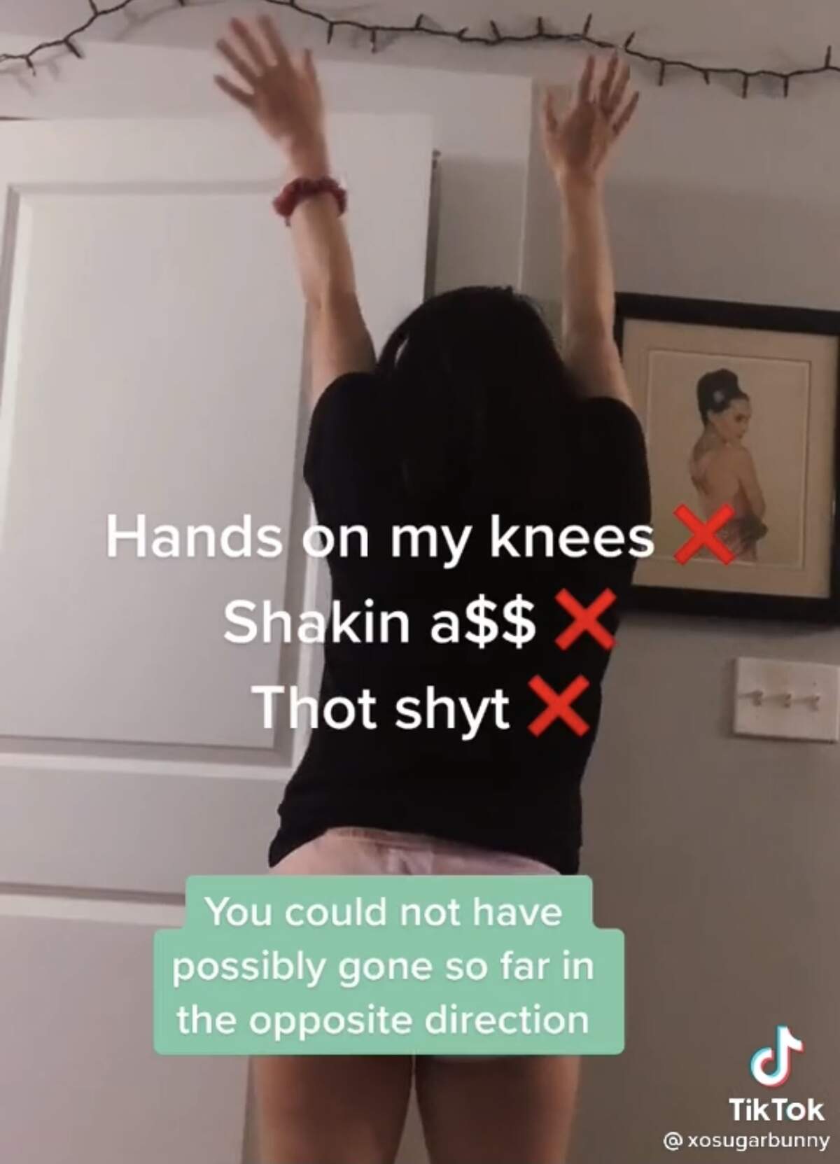 TikTok creator Sugarbunny lists the simple instructions to Megan Thee Stallion’s latest song.