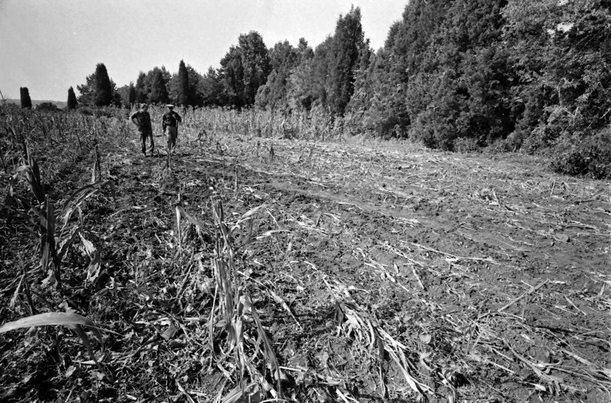 The scene of the Eastern Airlines Flight 212 crash on Sept. 11, 1974.