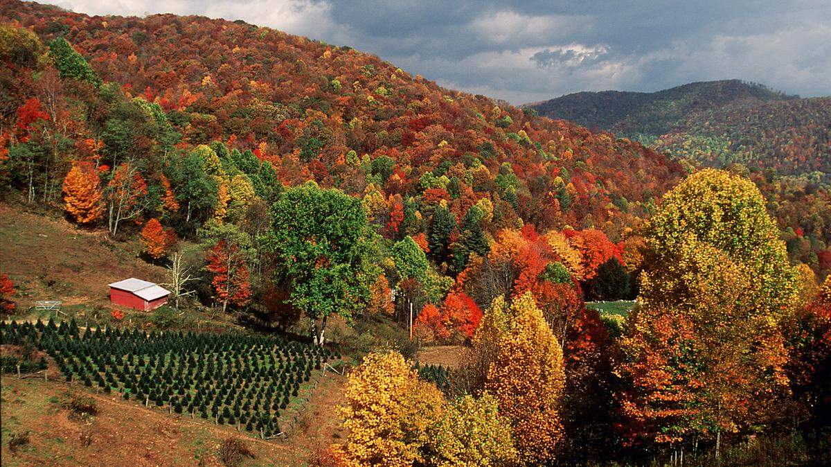 Fall scene near the community of Mabel in northwestern North Carolina.