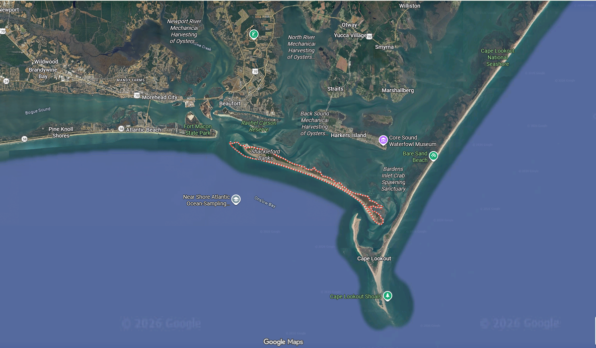 The Shackleford Banks is an isolated island that is just west of Cape Lookout National Seashore. It hosts a herd of about 100 wild horses that are protected by the National Park Services.
