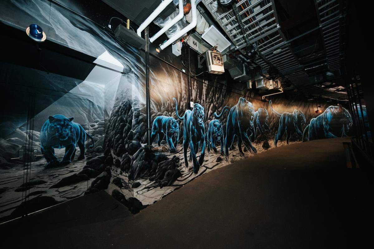 A snapshot of the mural in the Bank of America Stadium tunnel, produced by North Carolina native and Charlotte muralist Matt Moore.