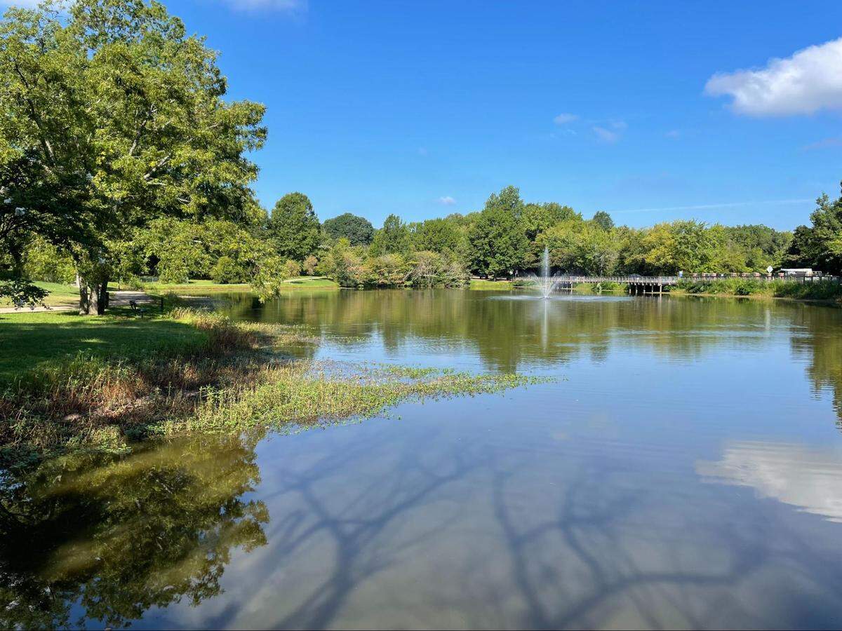 Stroll around Roosevelt Wilson Park in Davidson.