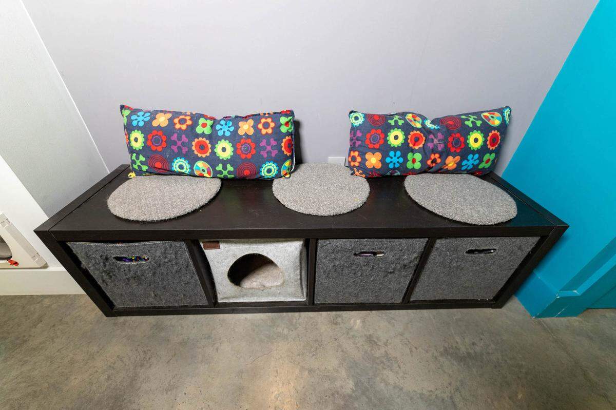 A nook in Toby Witte’s home is used for a storage bench, with room inside for the cat’s litterbox.