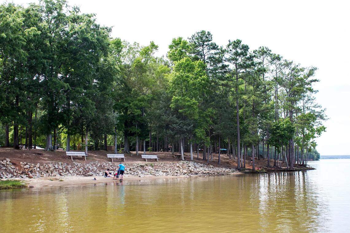 The shoreline at Lake Wateree State Park in Winnsboro, South Carolina.