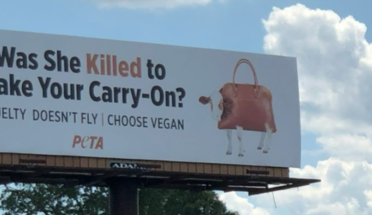 The cow on this billboard near Charlotte Douglas International Airport wants travelers to forgo leather luggage in favor of vegan products.