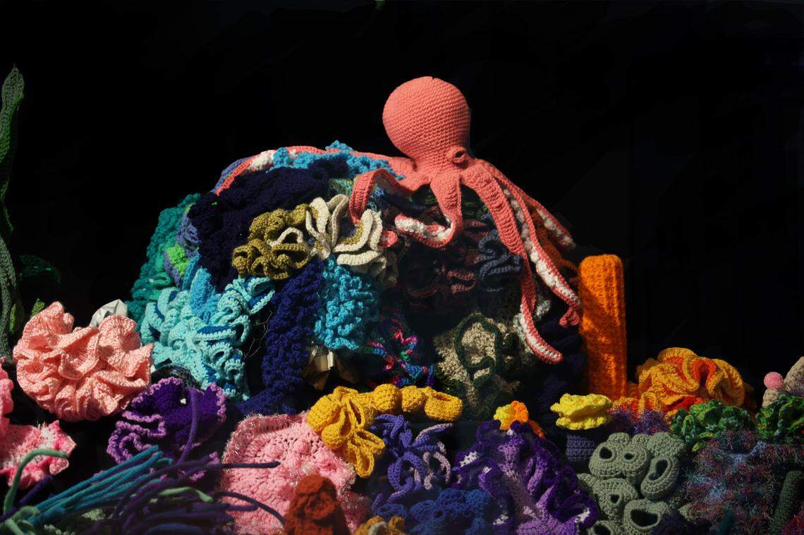“The Great Barrier Reef” by local fiber artist Kelly Rose Zimmerman is now on display at Discovery Place. Featuring 1,000 crochet pieces and more than 35,000 yards of yarn. It’s designed to inspire conversation about pollution and our oceans.