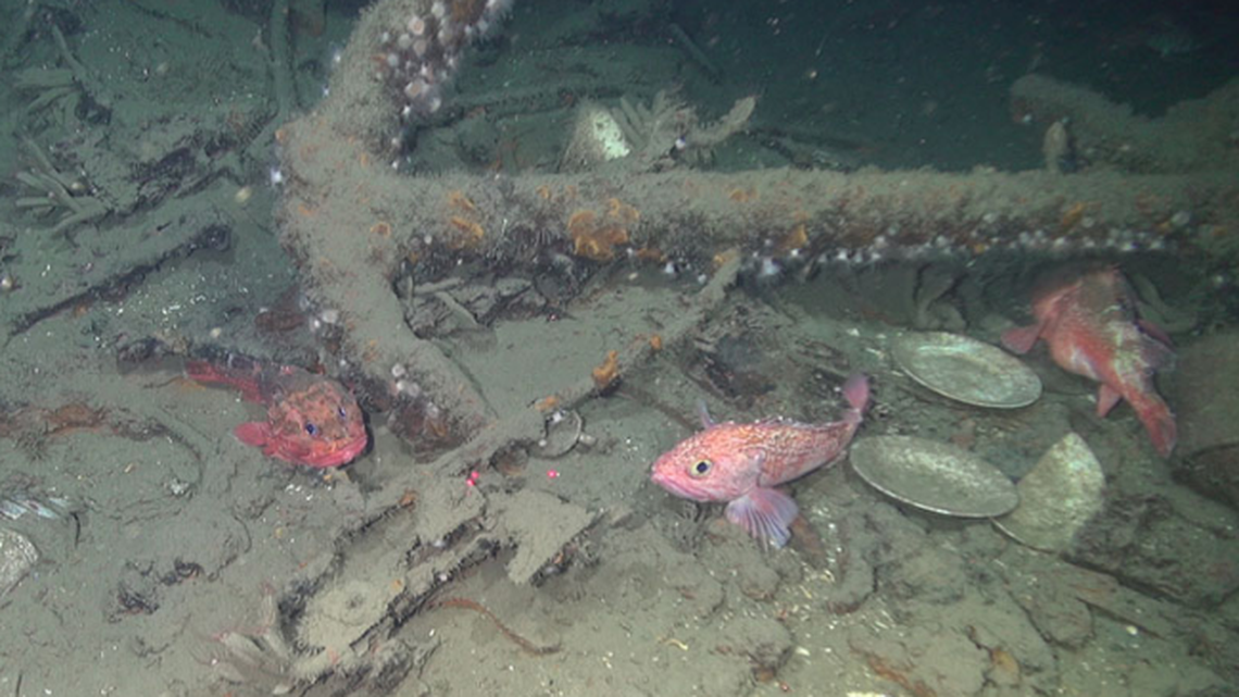 An anchor and some ceramic dishes were located amidships of Site 15711’s hull.
