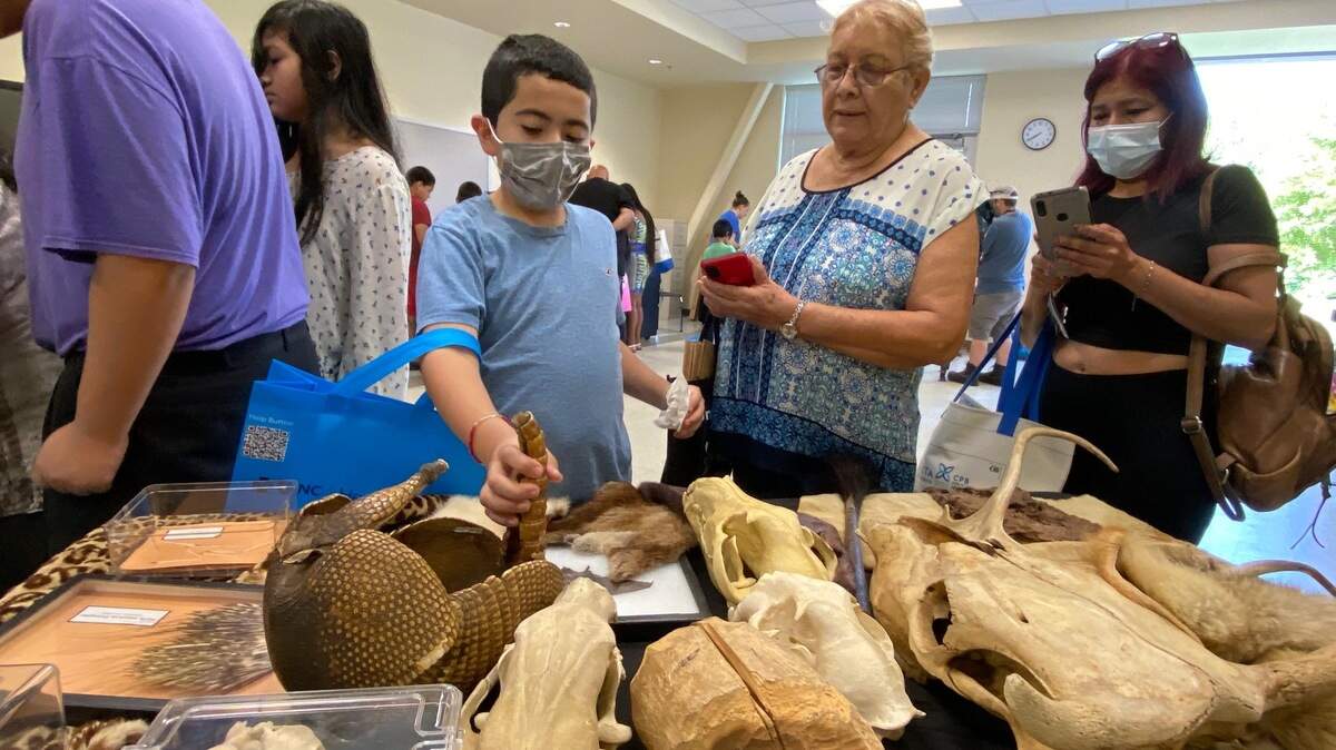 Discovery Place brought nature items for kids to explore at a CMS back-to-school bash at Renaissance West STEAM Academy on Aug. 12.