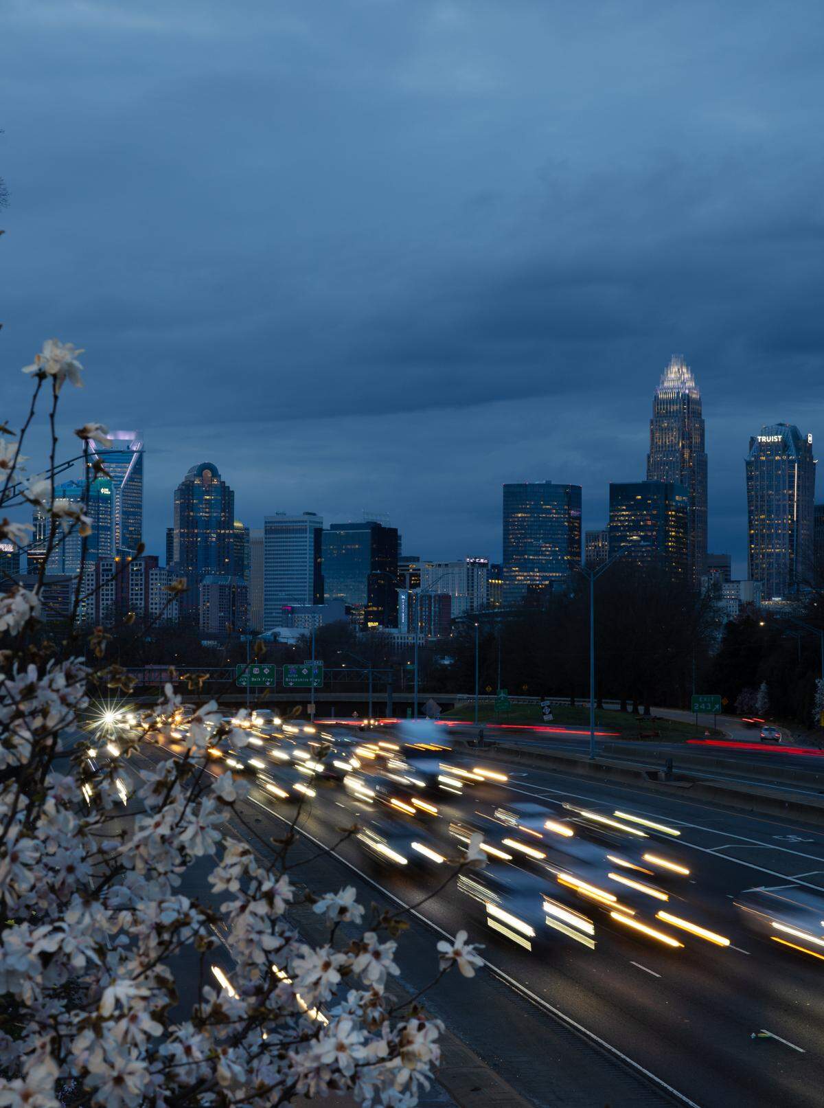 The Charlotte skyline from the Hawthorne Lane bridge in Charlotte, N.C., on Tuesday, March 4, 2025. 