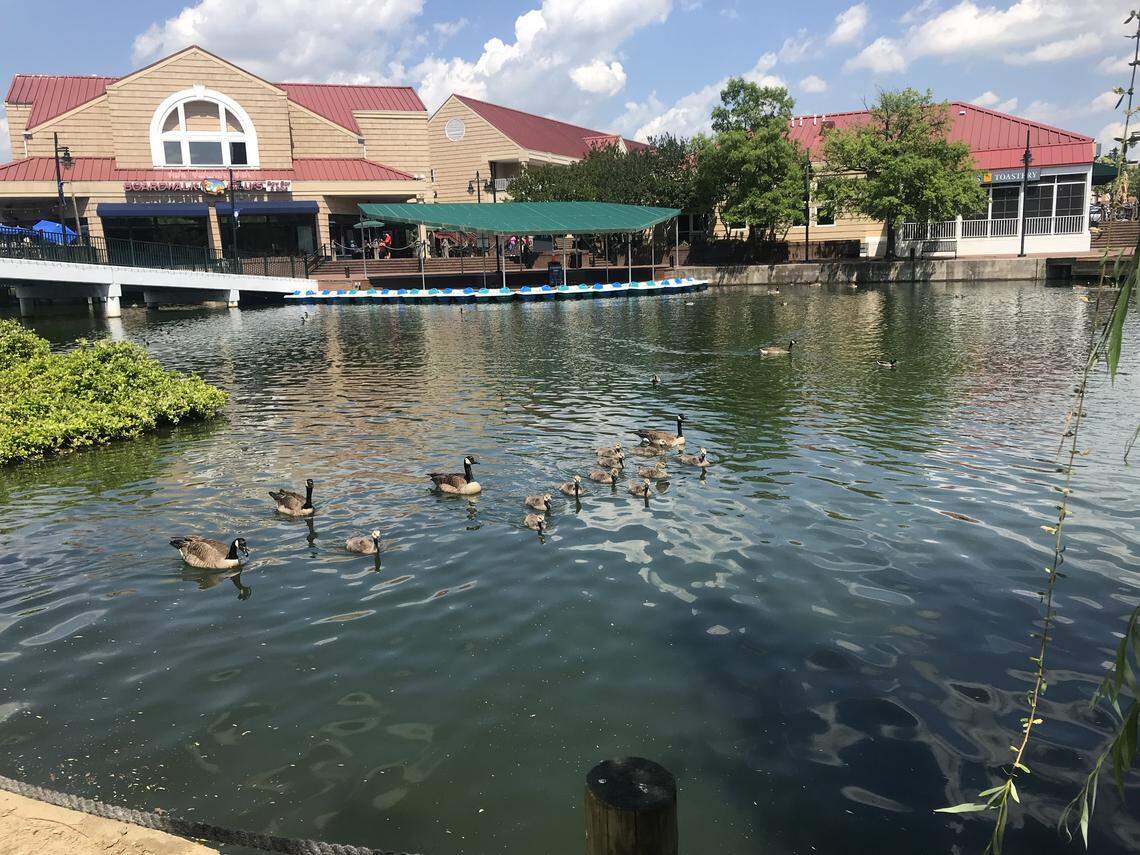 Boardwalk Billy’s closed for three days after an employee tested positive for COVID-19.