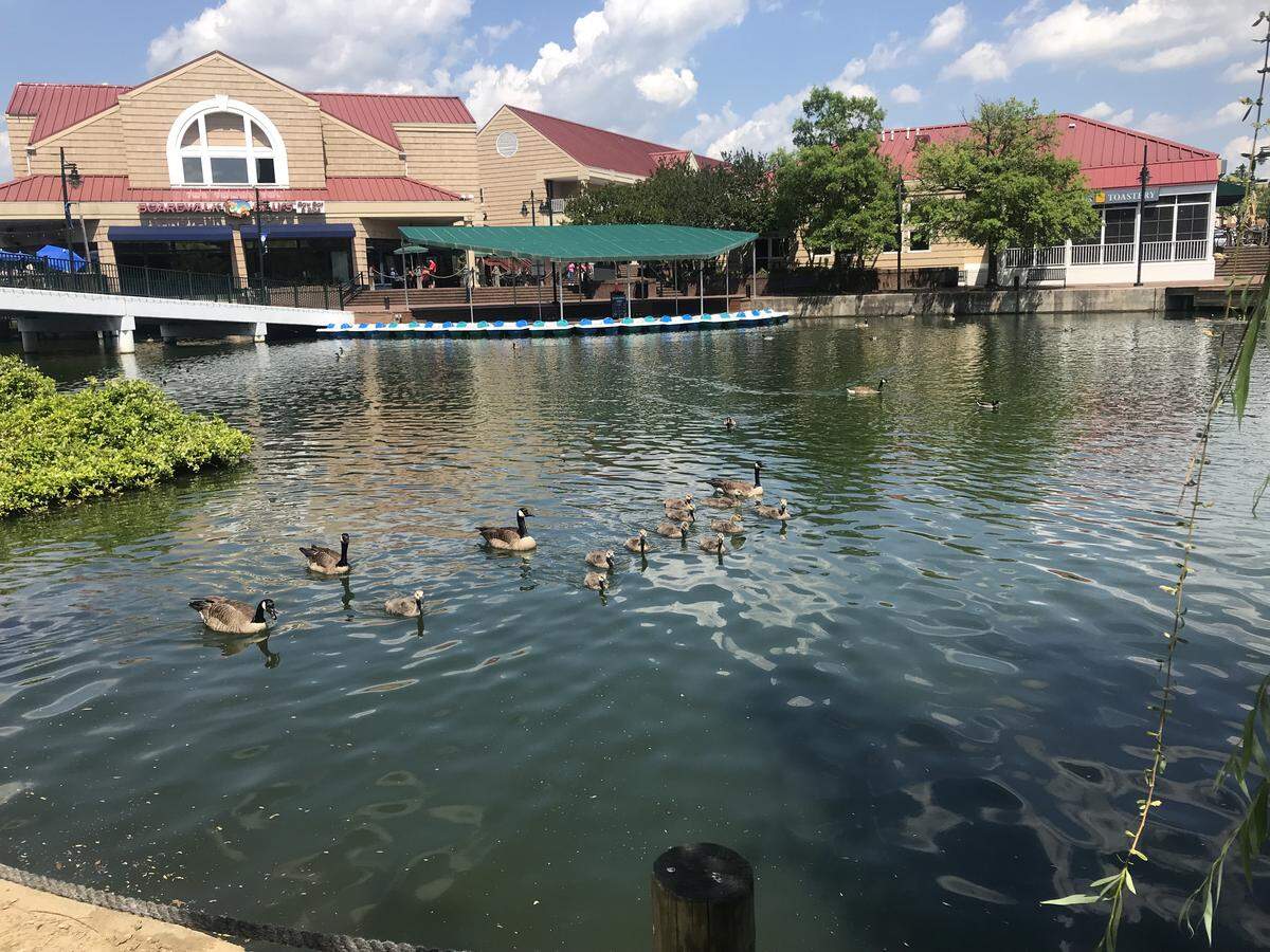 Boardwalk Billy’s is close to PNC Music Pavilion and makes an easy stop for a burger before a show.