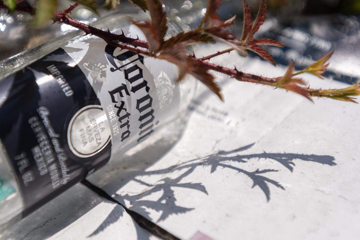 Beer cans and bottles lay scattered around the leveled lot where the Eastland Mall once stood. The site has seen a couple failed attempts for new development, including a movie studio and entertainment district centered on a fake ski slope.