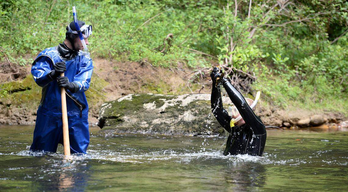 After lifting a large stone, Michael Thompson watches Sam Fritz as he jubilantly raises a hellbender during a survey on Friday, July 26, 2019.. Thompson and Fritz are graduate students at Appalachian State University.