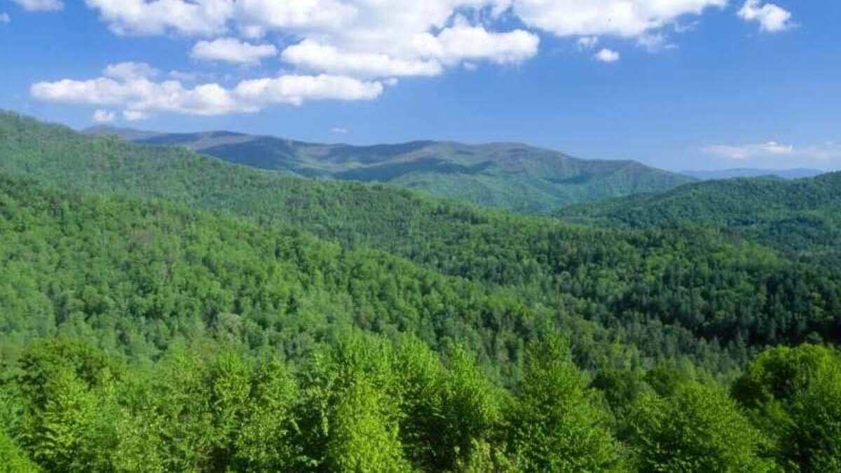 The rescue happened Friday in Nantahala National Forest, which encompasses 531,148 acres in Cherokee and Jackson counties.