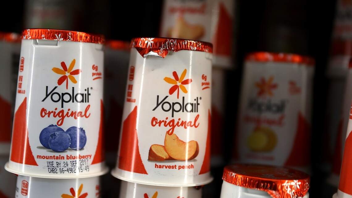 Why Yogurt’s Live Cultures and Fermentation Process Matters for Your Gut Microbiome