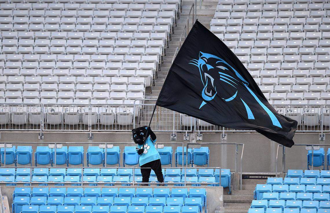 Carolina Panthers mascot Sir Purr waves a team flag from the empty stands during practice at Bank of America Stadium on Wednesday, August 26, 2020.