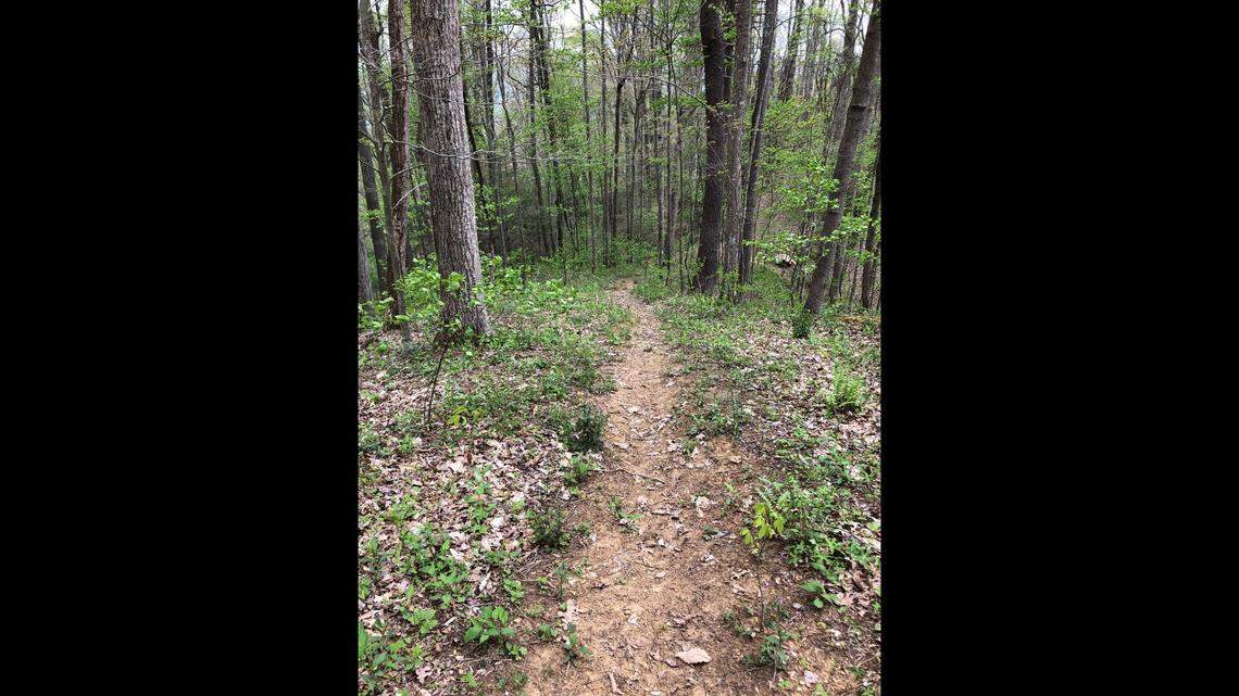 The 407 acres is an important travel corridoor and feeding ground for bear and elk, experts say.