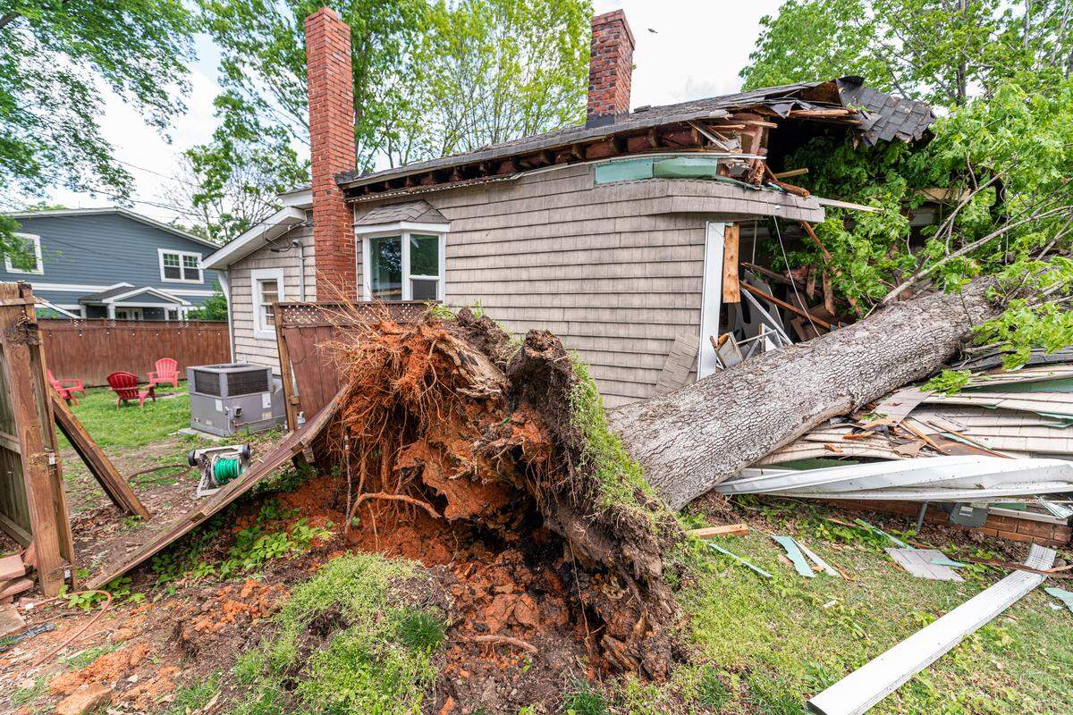 A tree fell on a house on Herrin Avenue in NoDa on April 13, 2020.