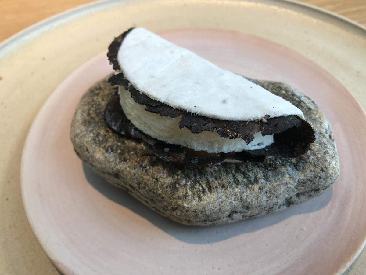 A unique ‘mold taco’ featuring a white, fuzzy koji-layered shell filled with dark, earthy ingredients, served atop a large natural river stone on a pale pink plate.