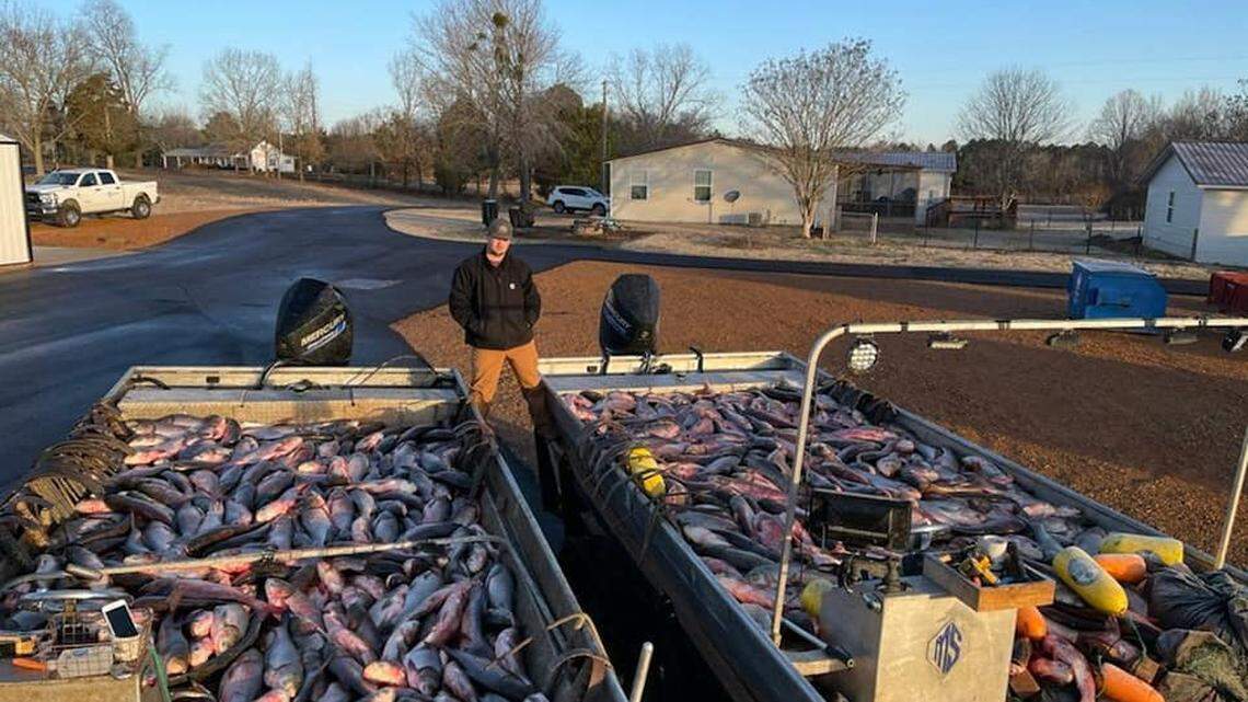 What do you do with 25,000 pounds of invasive Asian carp? The haul on Kentucky Lake in Middle Tennessee was enough to fill two boats last week.