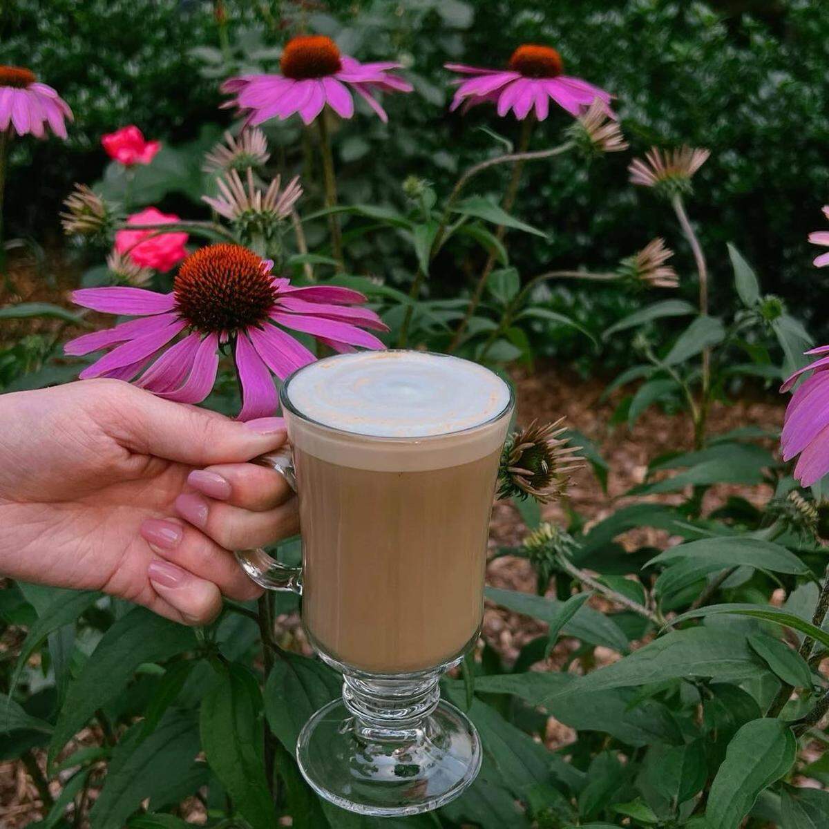 A spiked pistachio latte from Rosie’s Coffee & Wine Garden.