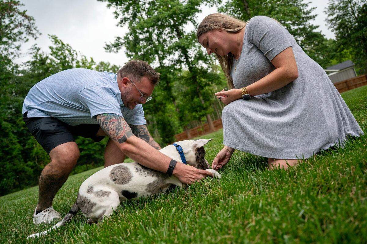 Foster parents Andrew Boblit and Sarah Ziarko help Frankie, a deaf dog, respond to the ASL command for ‘lying down’ in Iron Station, NC, Monday, June 16, 2025. The couple have been training with Frankie since May 18 when an ASL trainer came to work with them and Frankie.