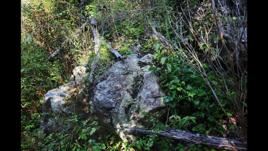 In Nantahala Forest, about 150 miles northwest of Charlotte, is a place where the earth has essentially turned itself inside out, resulting in “extreme conditions,” the U.S. Forest Service says.