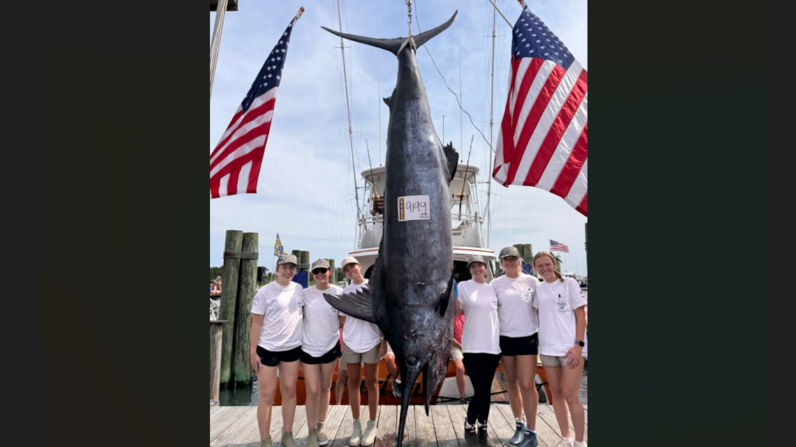 Unexpected finds made in blue marlin caught during NC tournament, scientists say