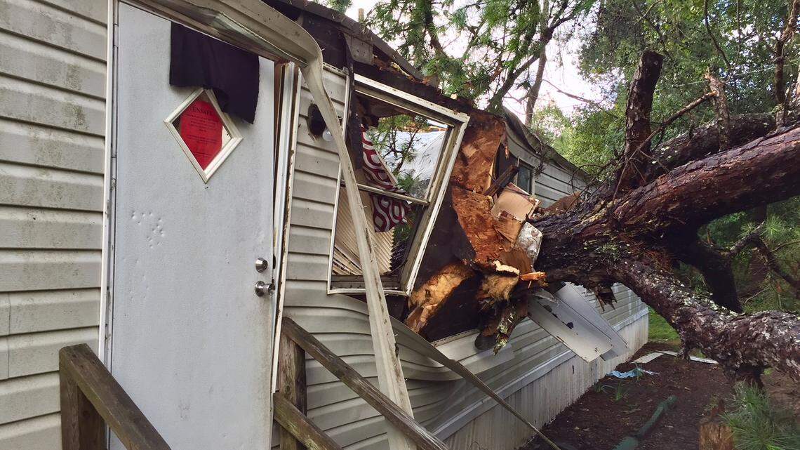 A pine smashed into this mobile home about 25 miles northwest of Charlotte, killing 3-month-old Kade Gill as his mother cradled him on a sofa, a family member says.