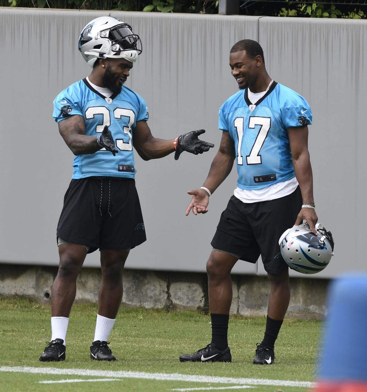 Carolina Panthers rookies Elijah Holyfield and Terry Godwin (17) -- who were also teammates at the University of Georgia -- share a laugh during an offseason workout.