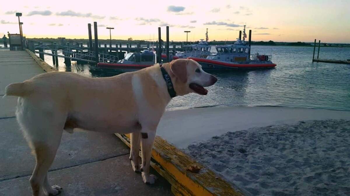 Wrightsville Beach Coast Guard station mascot dog Kale dies.