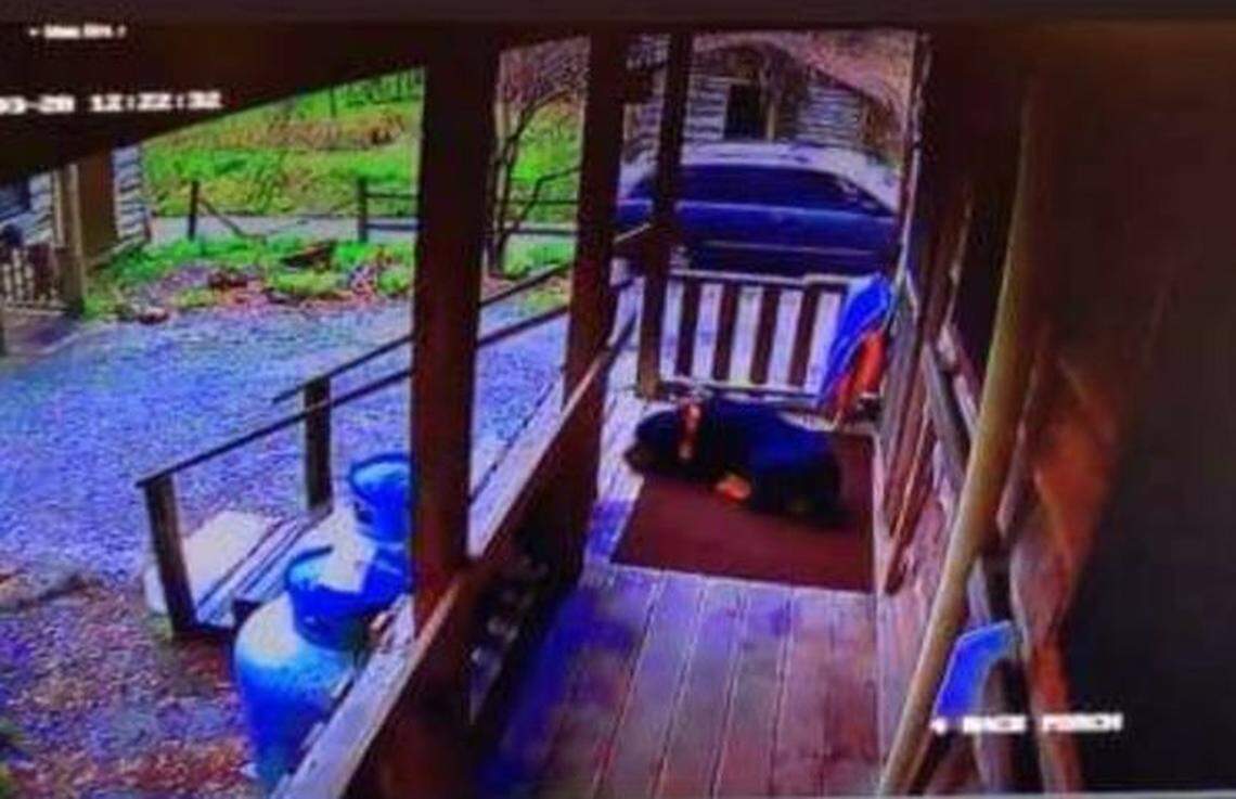 Rocky was shot and killed by someone in this van on Sunday. A cash reward is being offered for information that leads to an arrest and conviction.