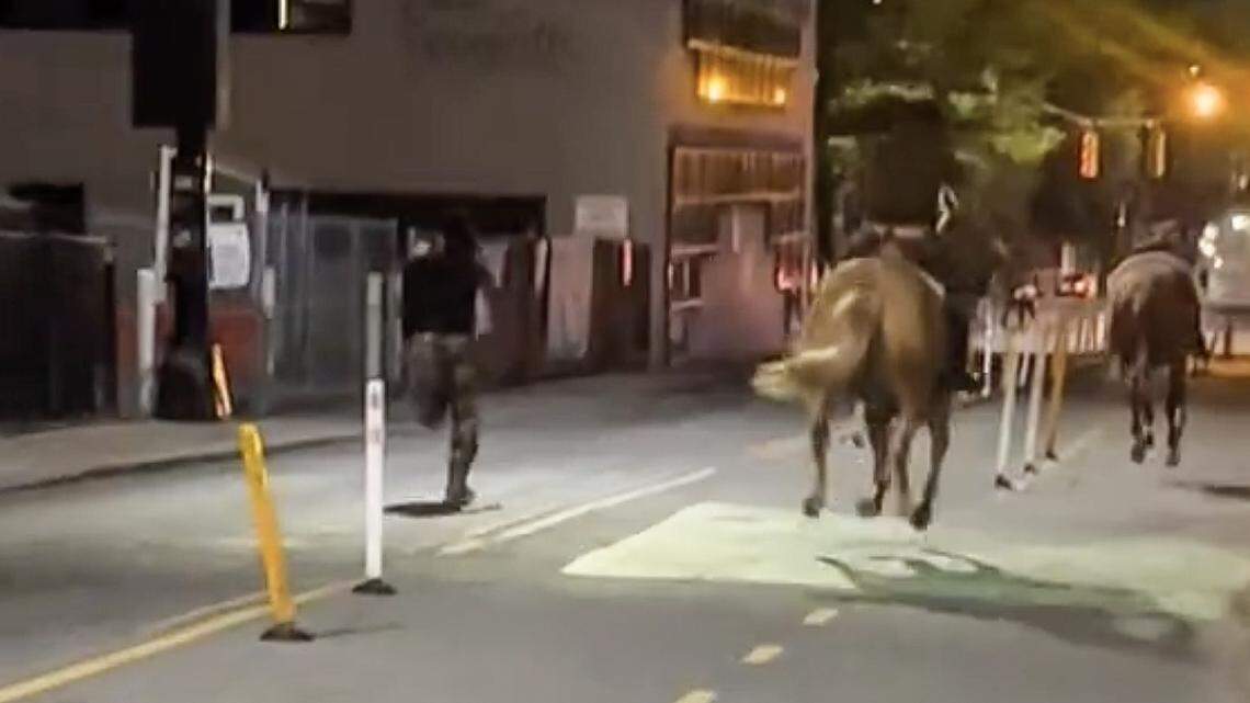 Viral video shows loose horse struck by car in uptown Charlotte. Two men charged