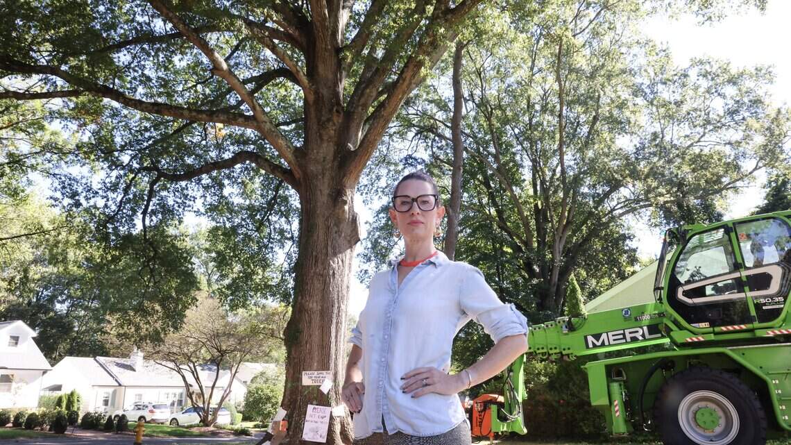 Can a tree be saved in south Charlotte? Neighbors hope development steers clear