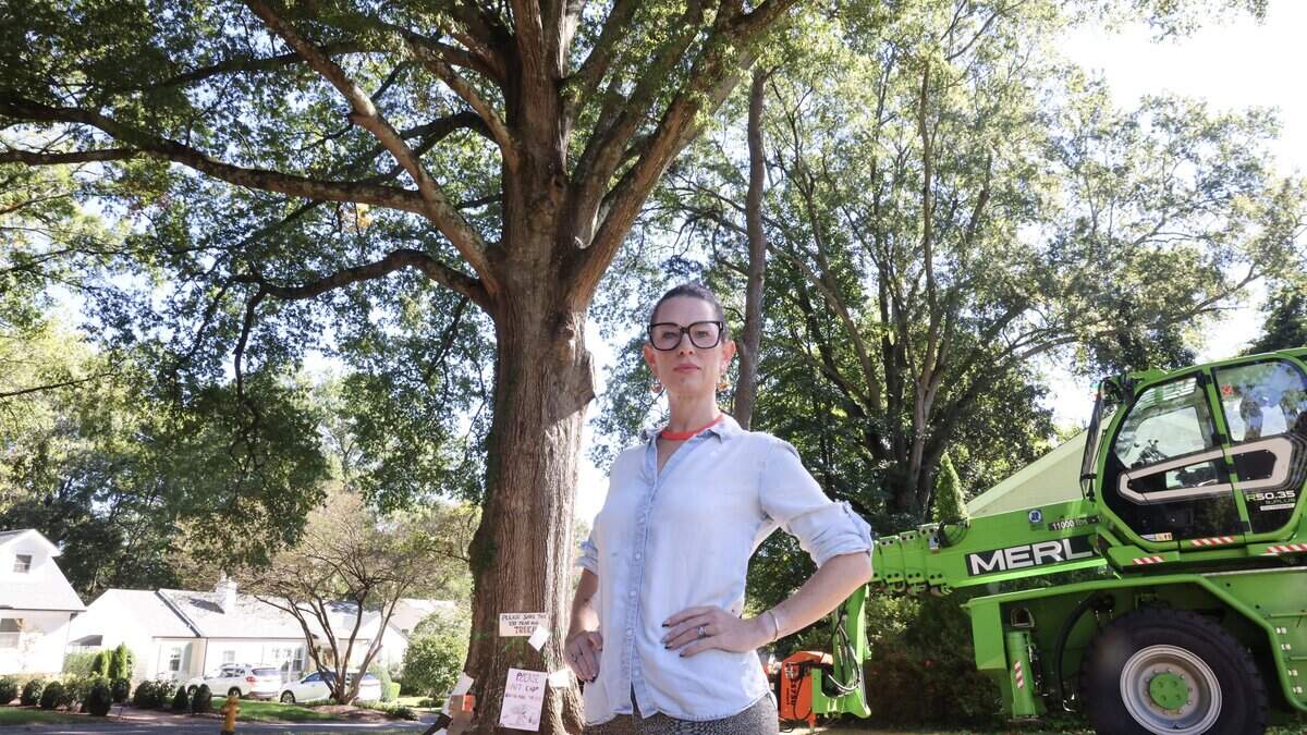 Can a tree be saved in south Charlotte? Neighbors hope development steers clear