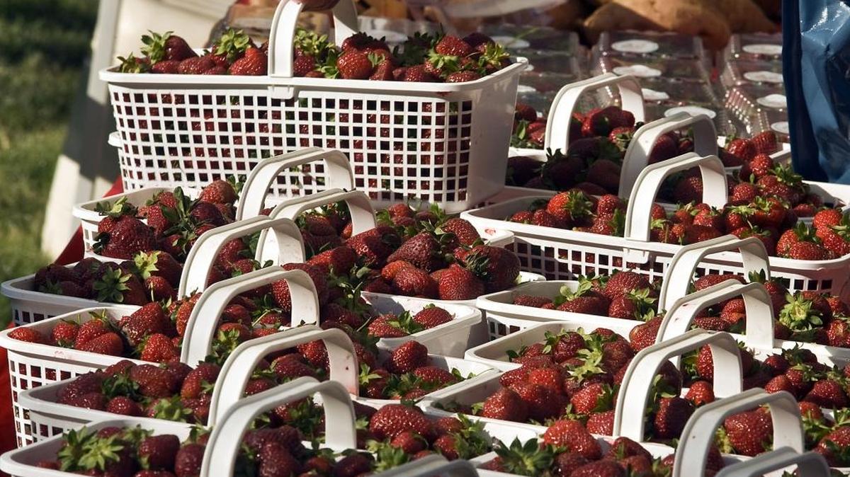Strawberry season is almost here, so it’s time to get ready.