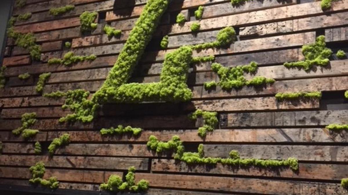 You can’t miss the Z’s: Zeppelin is ready to leave its mark on West Tremont Avenue.