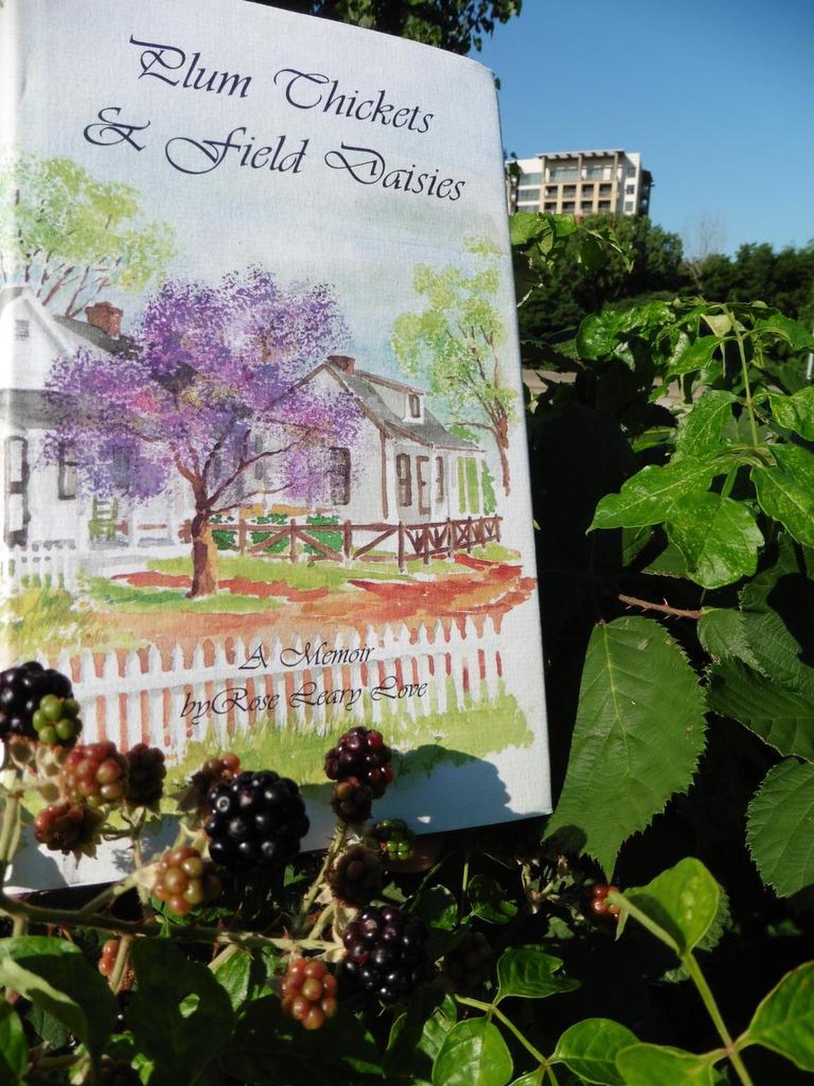 A watercolor of a childhood home with a neat white picket fence – located near where the blackberry brambles grow today – is illustrated on a book titled “Plum Thickets and Field Daisies” .