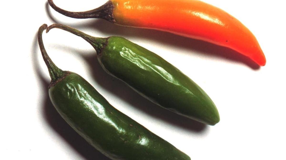 Debbie Moose is fond of serranos, green or red, as an all-purpose pepper. They provide moderate heat and a clear flavor.