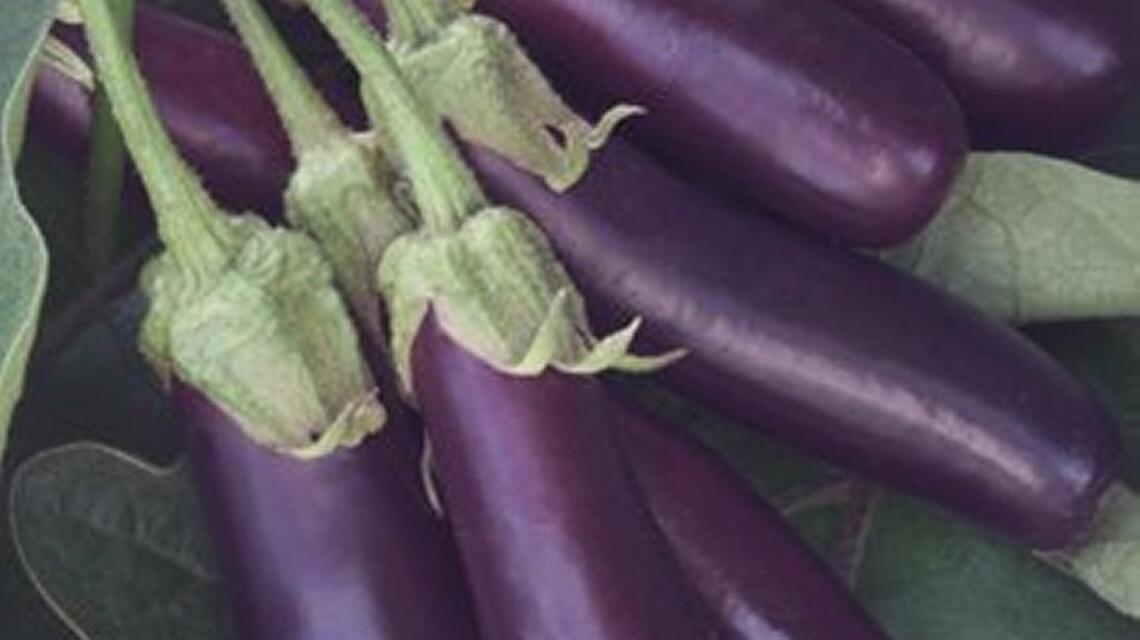 Don’t fear the eggplant, people