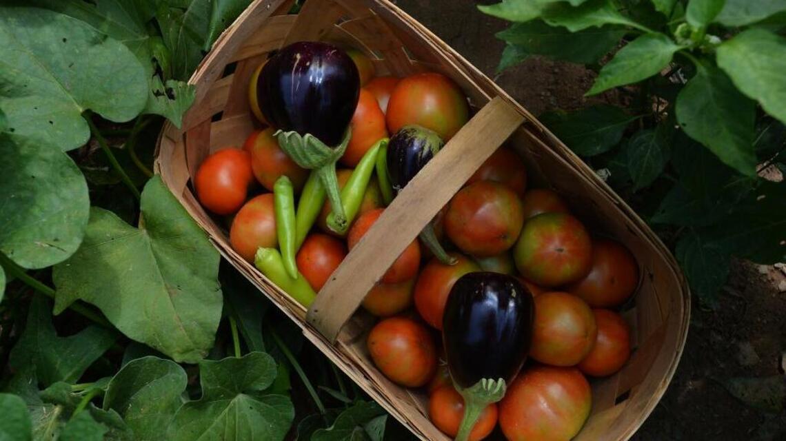Want to up your local-food skills in 2017?