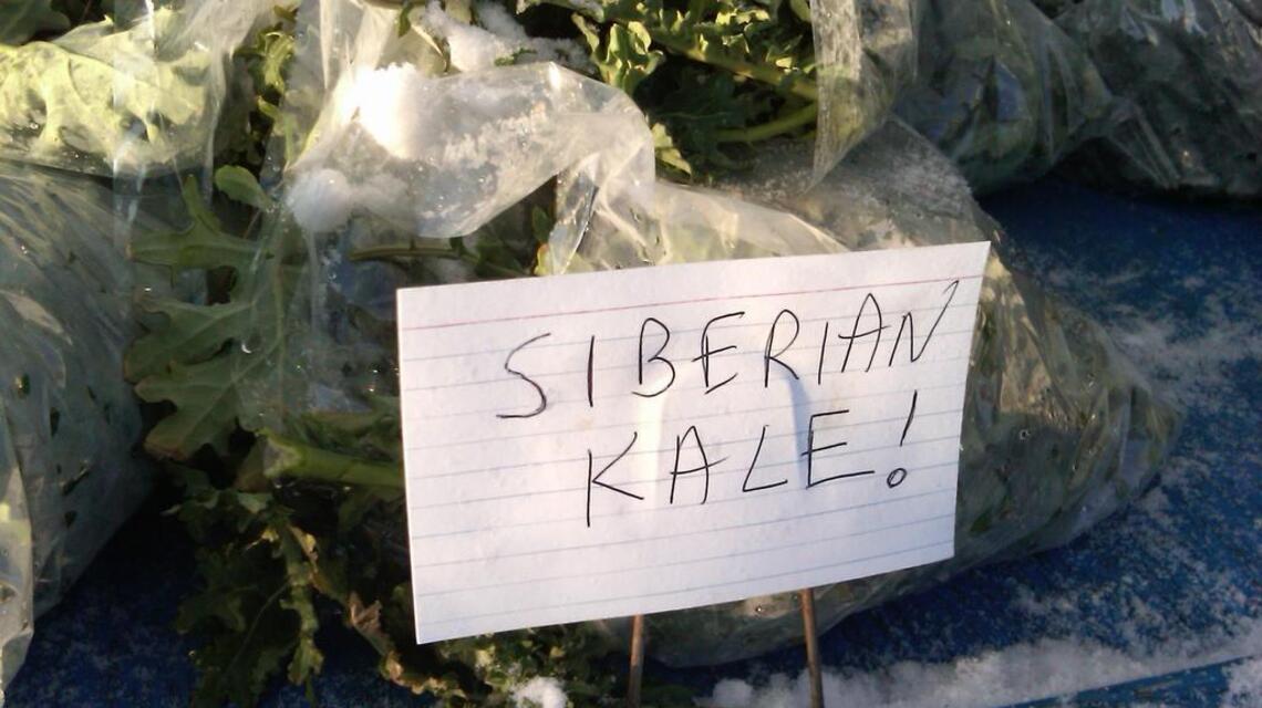 Snow alert: Farmers markets closed Saturday