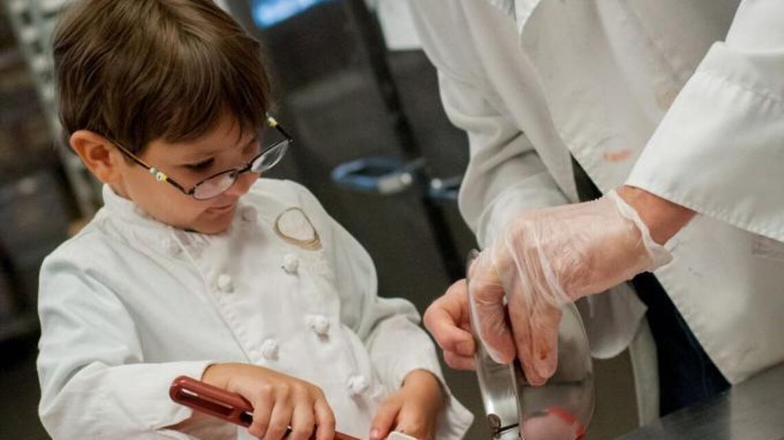 What’s the cutest chocolate creation in Charlotte?