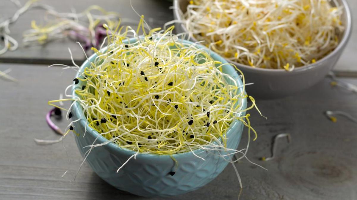 Seven outbreaks – four salmonella, two E. coli, one listeria – since 2014 trace back to raw sprouts, according to the Centers for Disease Control.
