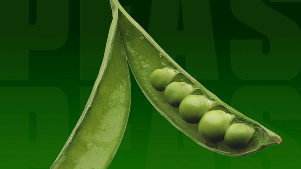Despite the name, the new “pea milk” products are made from yellow peas and aren’t green.