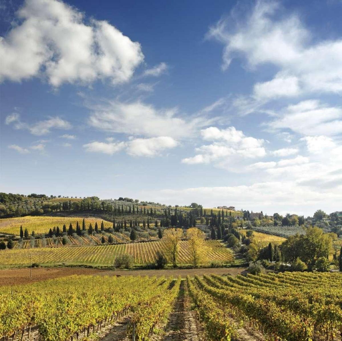 It’s cheaper to take a Tuscan wine class than it is to take a trip to Tuscany.